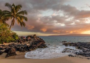 safetravel hawaii hero